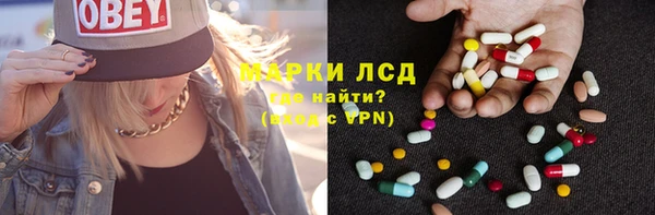 PSILOCYBIN Дегтярск