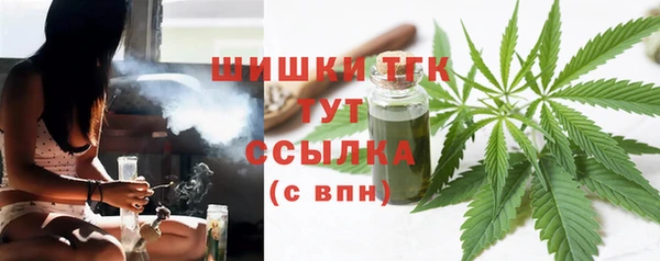 винт Дедовск
