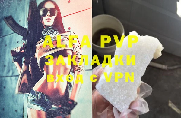 PSILOCYBIN Дегтярск