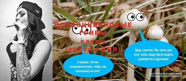 PSILOCYBIN Дегтярск