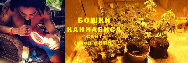 эйфоретик Елизово